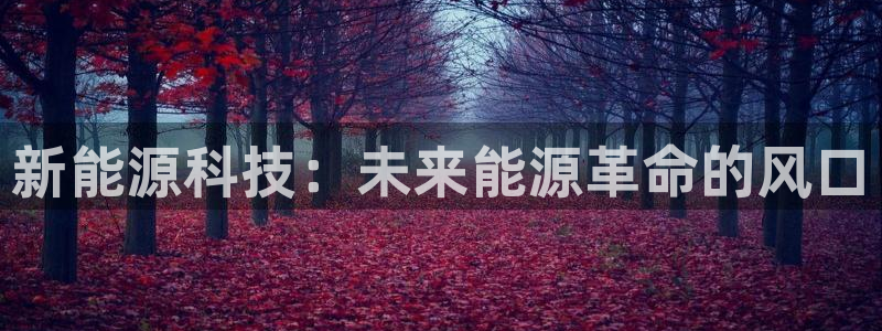 新宝gg平台首页