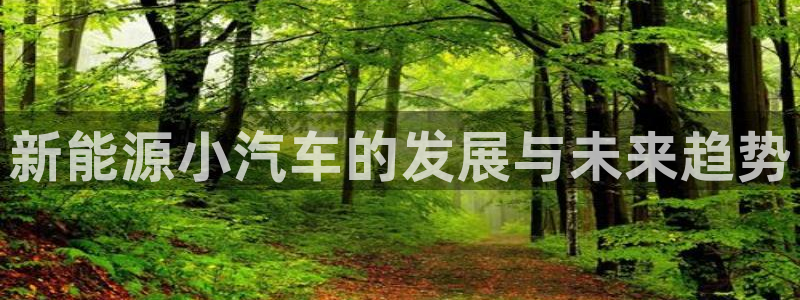 新宝gg真的