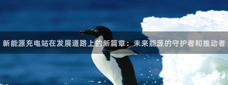 新宝GG类别78778：新能源充电站在发