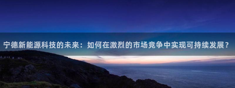 新宝gg怎样：宁德新能源科技的未来：如何