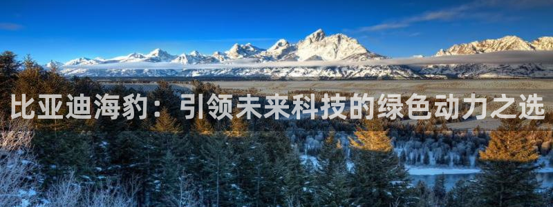 gg新宝时时彩：比亚迪海豹：引领未来科技
