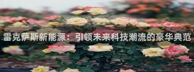新宝gg官网