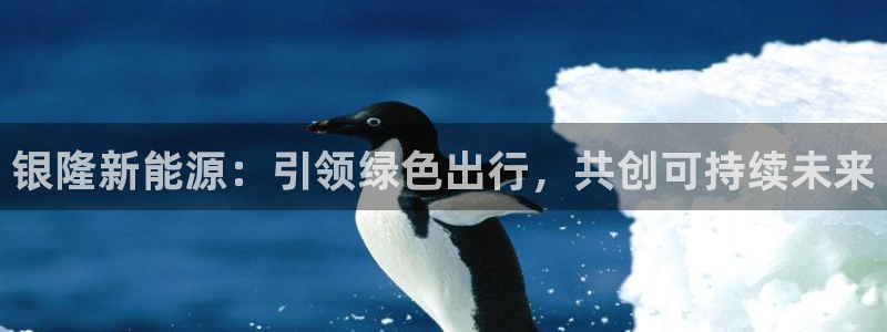 新宝GG栏770823：银隆新能源：引领
