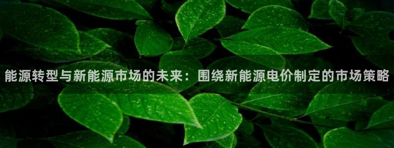 新宝gg开：能源转型与新能源市场的未来：