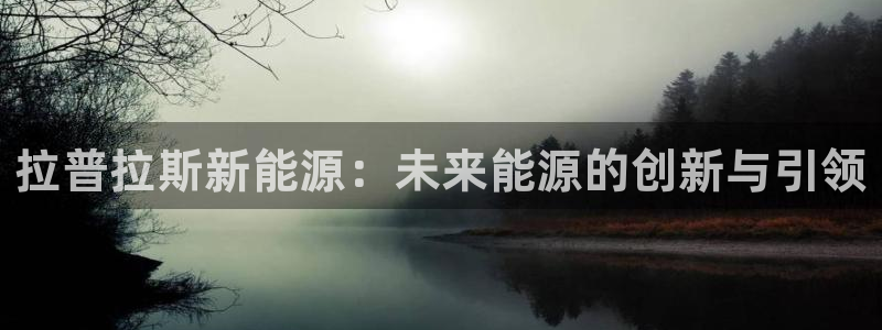 新宝gg欢迎：拉普拉斯新能源：未来能源的