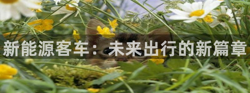新宝gg--创：新能源客车：未来出行的新