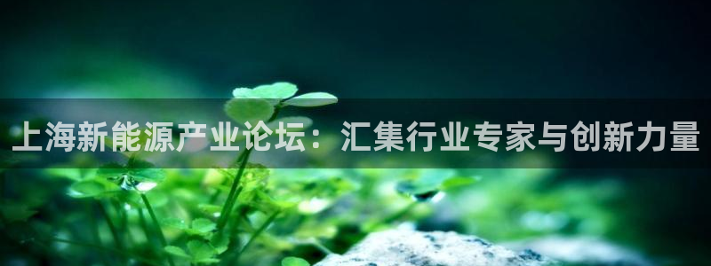 创造奇迹新宝gg:上海新能源产业论坛:汇集行业专家与创新力量