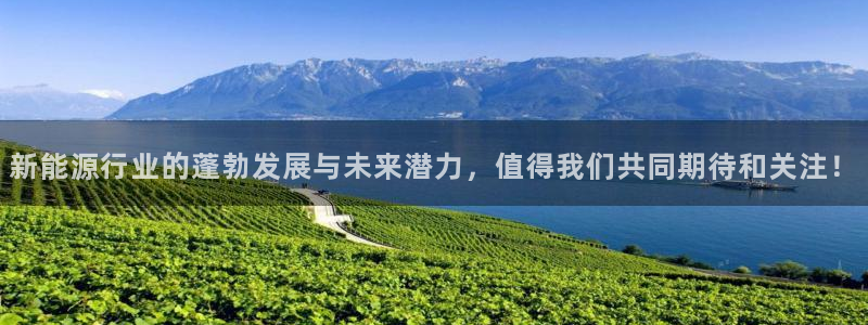 新宝gg主管开：新能源行业的蓬勃发展与未