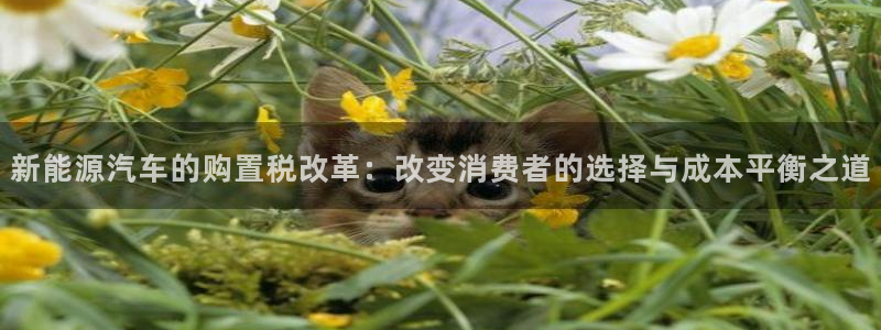 关于新宝GG：新能源汽车的购置税改革：改