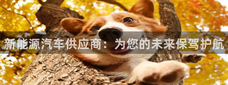 新宝gg奖金