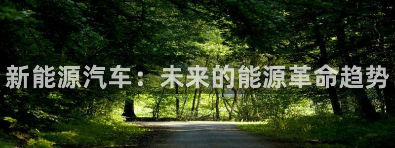 新宝gg龙腾