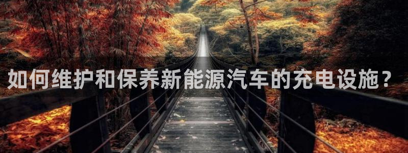 新宝GG创造奇：如何维护和保养新能源汽车