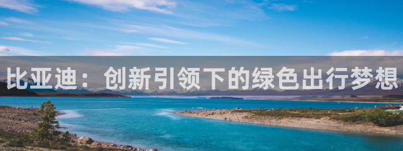 新宝.gg：比亚迪：创新引领下的绿色出行