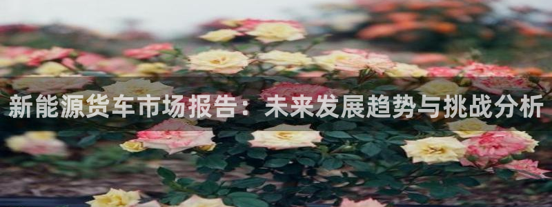 新宝gg与新宝5:新能源货车市场报告:未来发展趋势与挑战分析