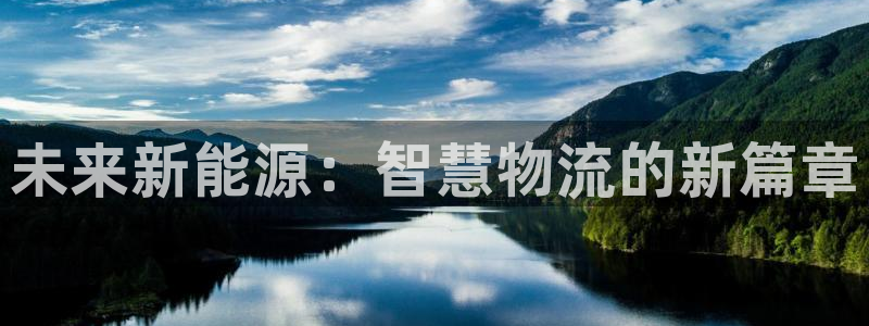 新宝gg手机版下载:未来新能源:智慧物流的新篇章