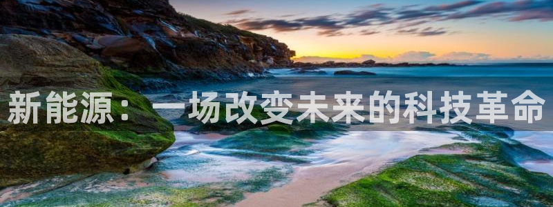 新宝gg什么:新能源:一场改变未来的科技革命