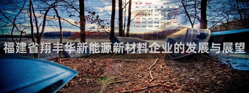 新宝创造Gg：福建省翔丰华新能源新材料企
