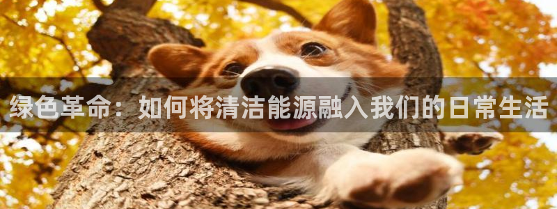 新宝gg如何登录：绿色革命：如何将清洁能