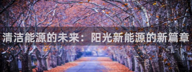新宝GG登录③:清洁能源的未来:阳光新能源的新篇章