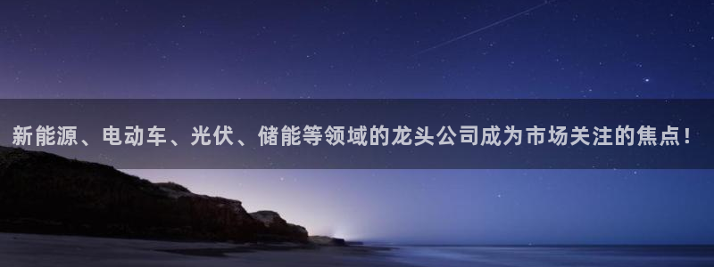 新宝 -gg登录:新能源、电动车、光伏、储能等领域的龙头公司