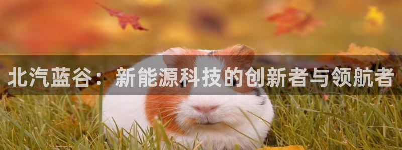 新宝gg测速登录:北汽蓝谷:新能源科技的创新者与领航者