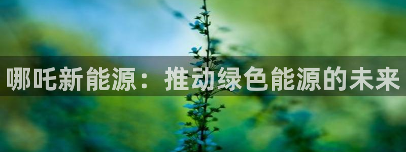 新宝GG桌面：哪吒新能源：推动绿色能源的