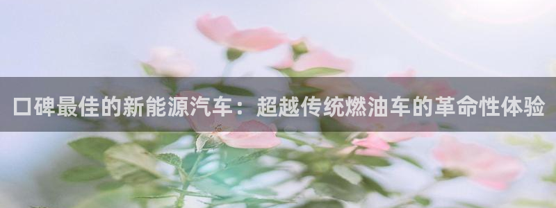 新宝gg官网：口碑最佳的新能源汽车：超越