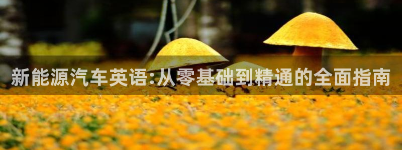 新宝gg 网址：新能源汽车英语:从零基础