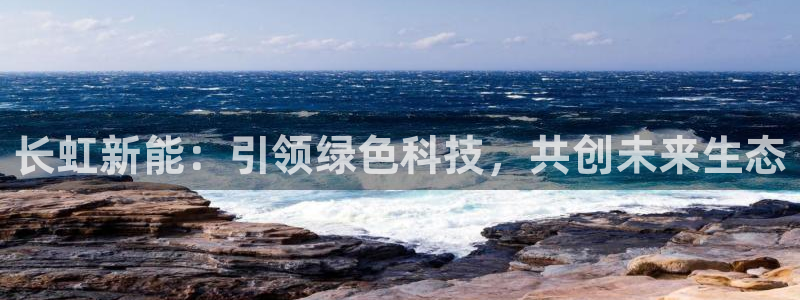 新宝gg类似:长虹新能:引领绿色科技,共创未来生态