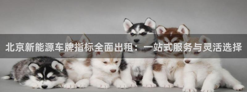 新宝gg是新宝几：北京新能源车牌指标全面