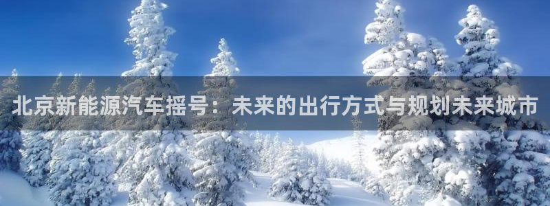 新宝GG正规78778：北京新能源汽车摇