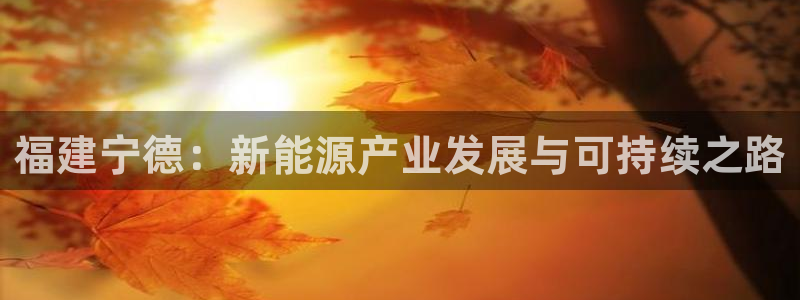 新宝gg 主管：福建宁德：新能源产业发展