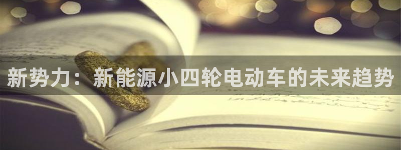 新宝gg帐号注册：新势力：新能源小四轮电
