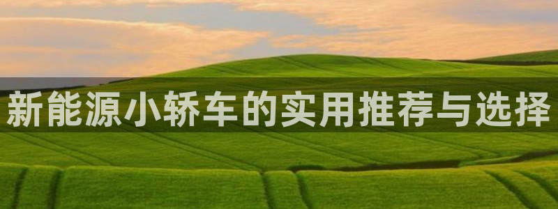 新宝GG栏770823:新能源小轿车的实用推荐与选择