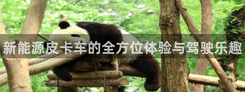 新宝gg平台怎么样:新能源皮卡车的全方位体验与驾驶乐趣