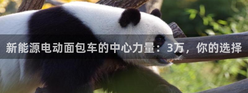 新宝gg彩票:新能源电动面包车的中心力量:3万,你的选择