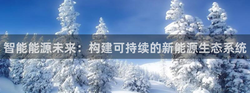 新宝gg登录新:智能能源未来:构建可持续的新能源生态系统