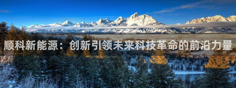 新宝GG登录③:顺科新能源:创新引领未来科技革命的前沿力量