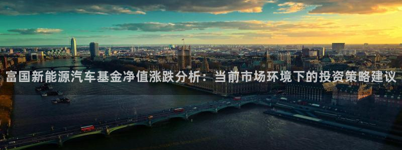 新宝gg专线:富国新能源汽车基金净值涨跌分析:当前市场环境下