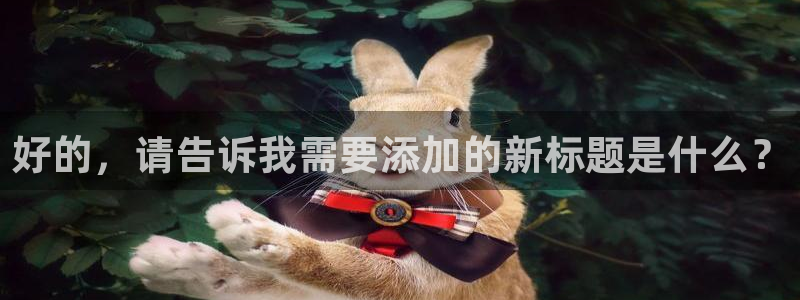 新宝GG—创造奇迹:好的,请告诉我需要添加的新标题是什么?