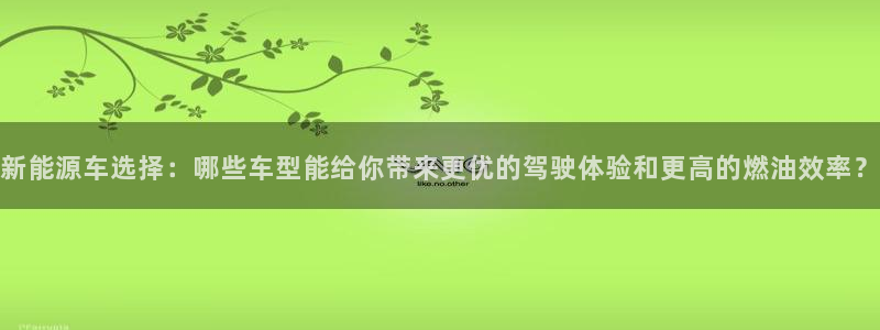 新宝gg重:新能源车选择:哪些车型能给你带来更优的驾驶体验和