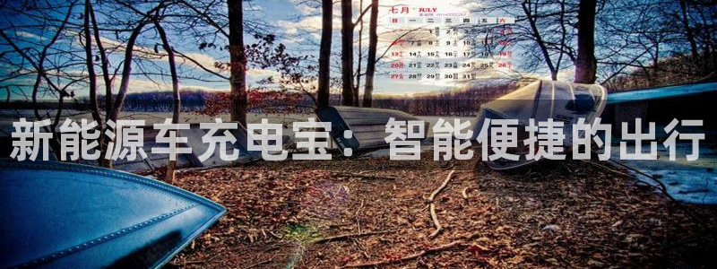 新宝gg 创:新能源车充电宝:智能便捷的出行