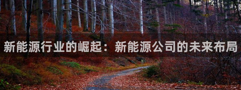 新宝gg开号