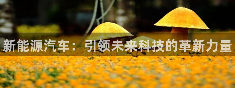 新宝gg挂机app:新能源汽车:引领未来科技的革新力量