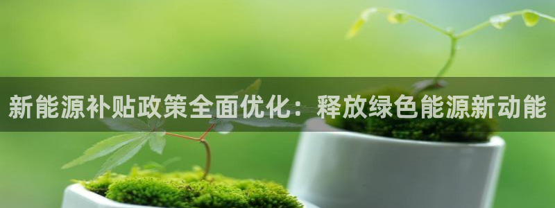 新宝 gg 登录:新能源补贴政策全面优化:释放绿色能源新动能
