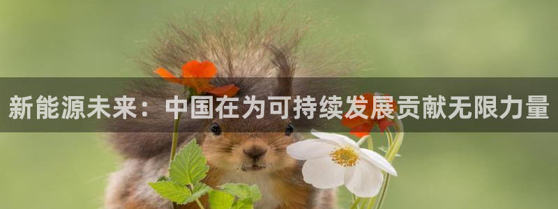 新宝gg cqdellar:新能源未来:中国在为可持续发展贡