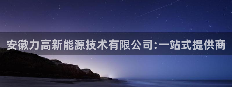 登录新宝gg游戏:安徽力高新能源技术有限公司:一站式提供商