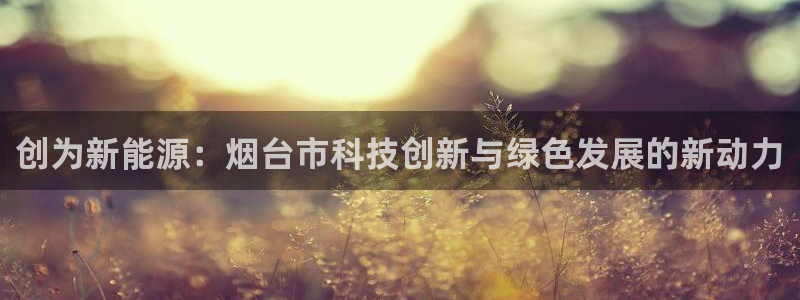 新宝gg平台开户