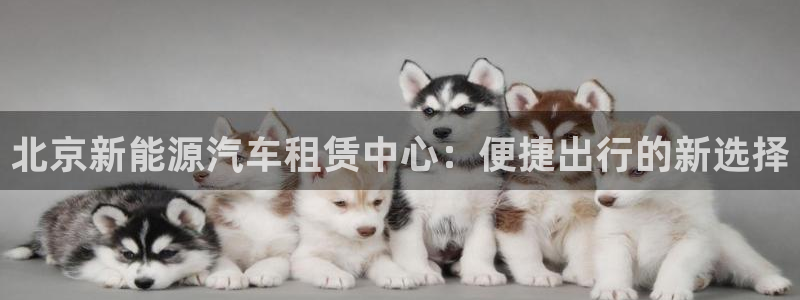 新宝gg类似