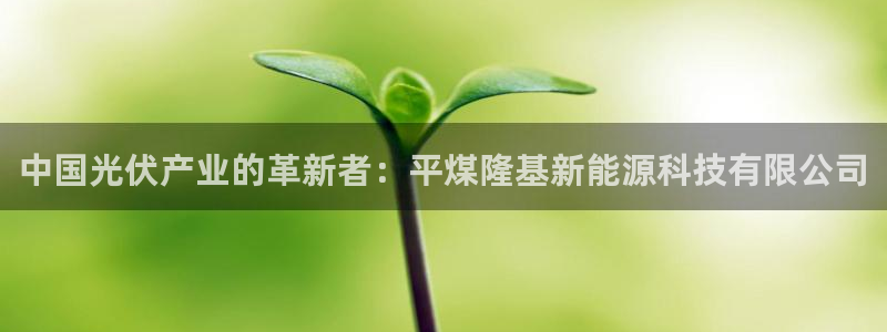 新宝gg测试:中国光伏产业的革新者:平煤隆基新能源科技有限公
